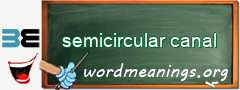 WordMeaning blackboard for semicircular canal